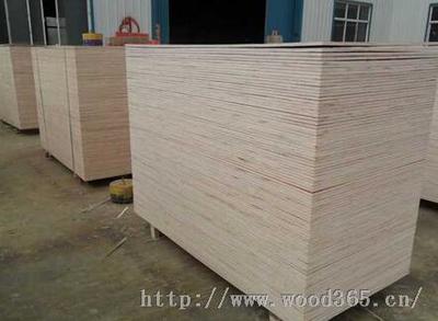 沭阳根本木业 上海建筑模板 上海建筑模板价格 厂家-沭阳县根本木制品厂销售部